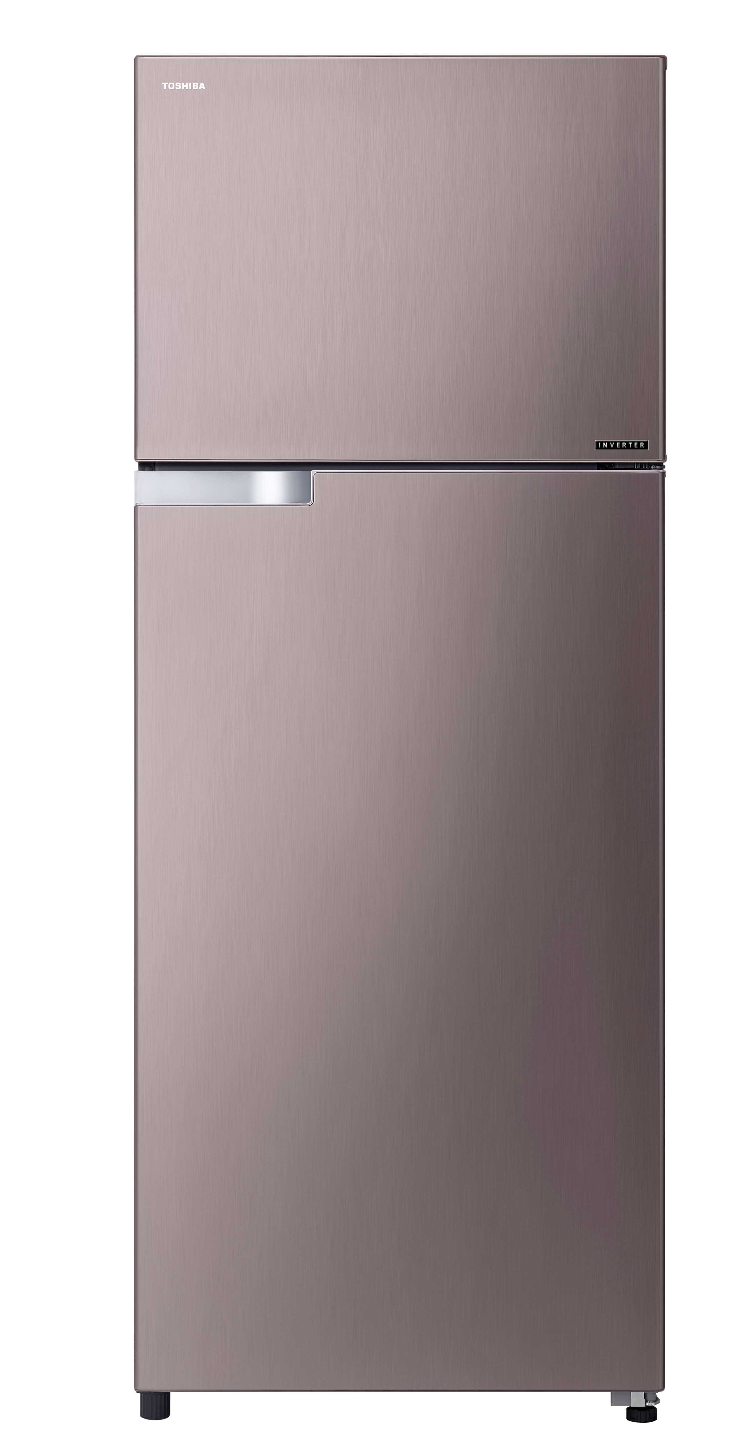 TOSHIBA 東芝 510L 雙門變頻電冰箱 GR-A55TBZ(N)