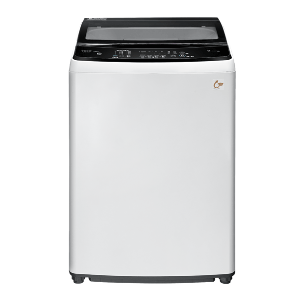TECO 東元 16kg 變頻直立式洗衣機 W1611XW