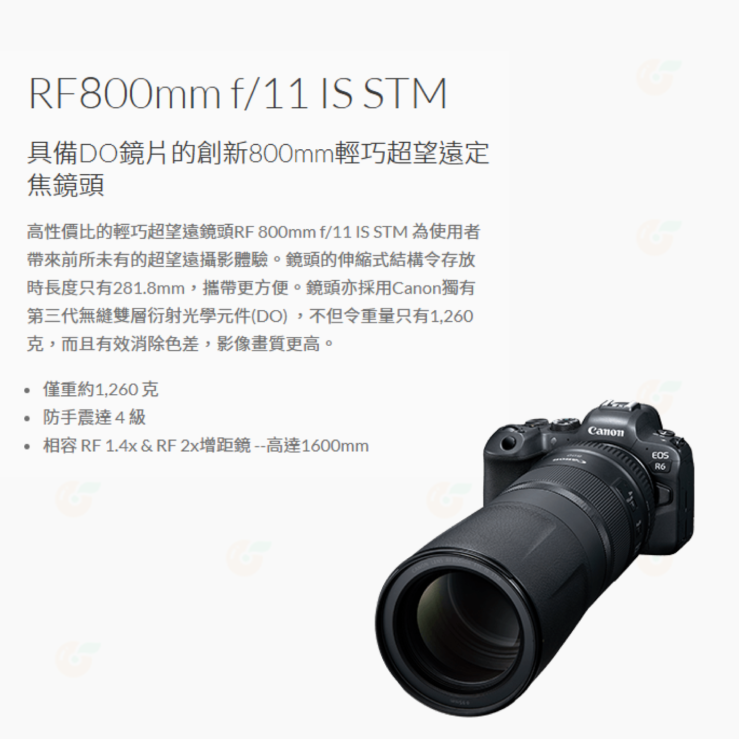Canon RF 800mm f11 IS STM 超望遠定焦鏡頭 輕巧 台灣佳能公司貨