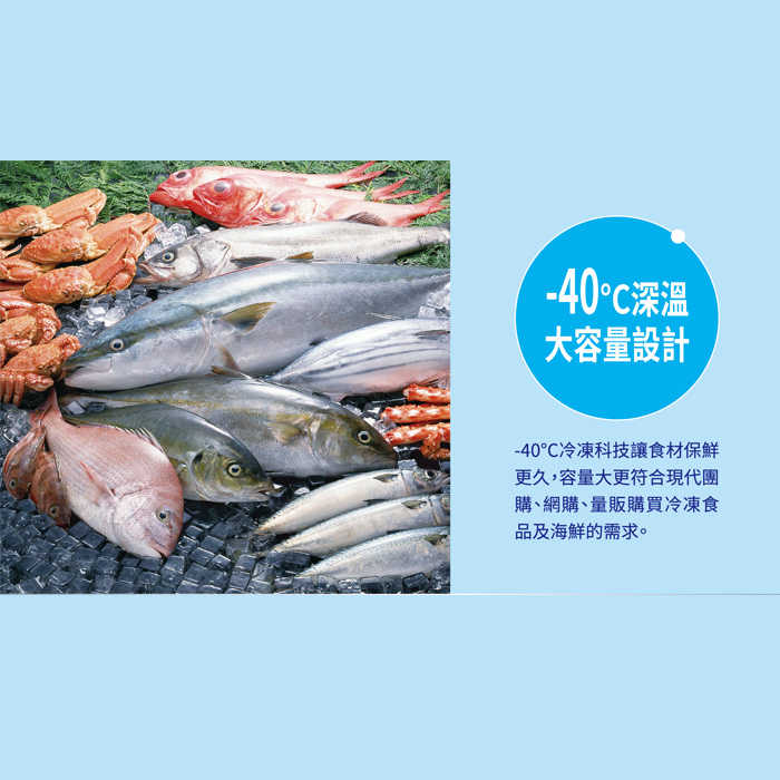 送好禮 含拆箱定位+舊機回收 台灣三洋 SANLUX SCF-DF400 上掀式冷凍櫃 400L -40℃深層低溫