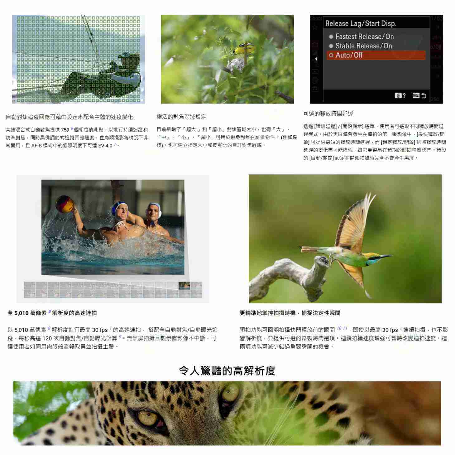 SONY α1 II BODY 二代 全片幅 數位單眼相機 機身 台灣索尼公司貨 A1 II A1II ILCE-1M2