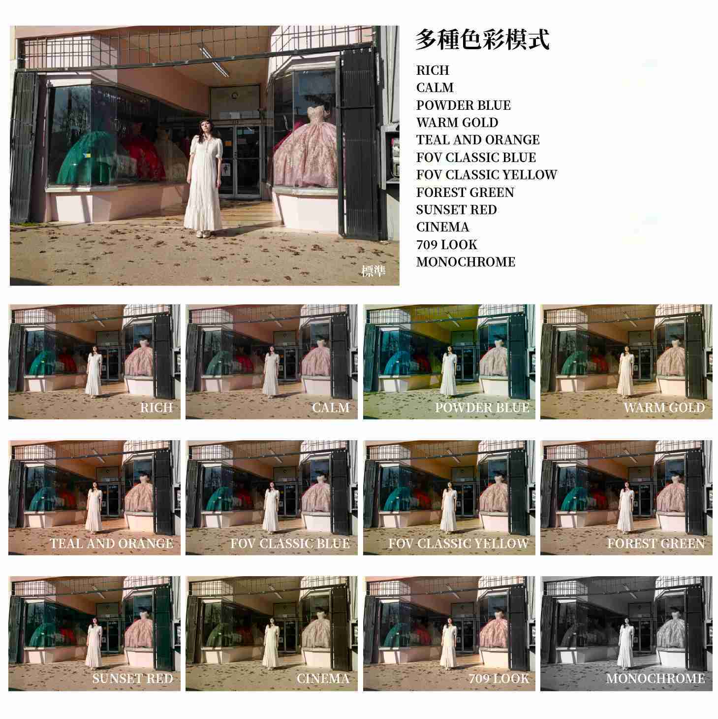 預購 SIGMA BF 機身 BODY 全片幅無反相機 恆伸公司貨 內建記憶體 多種色彩模式