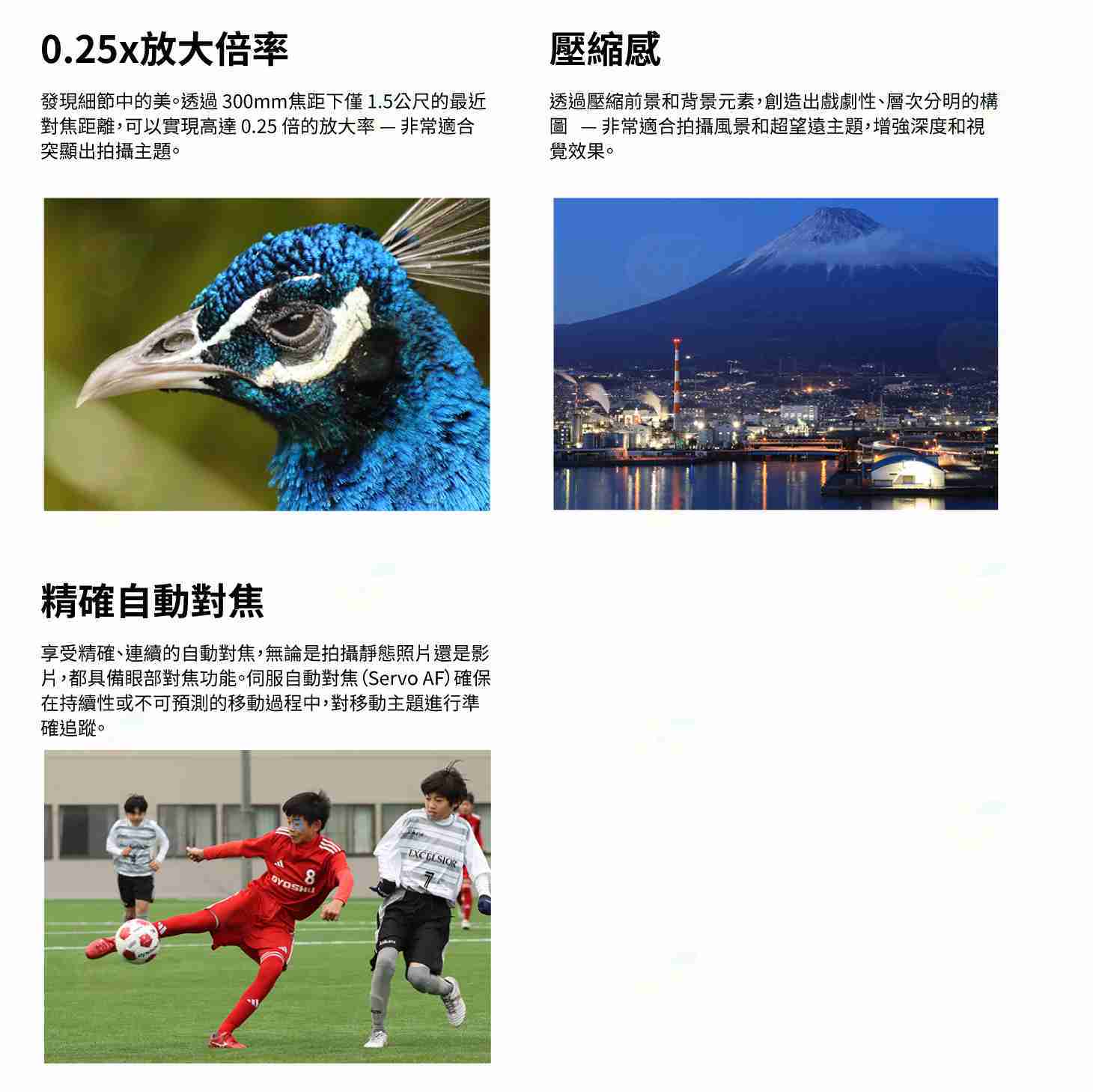 Canon RF 75-300mm f4-5.6 輕量化超望遠變焦鏡頭 輕巧 台灣佳能公司貨 75-300