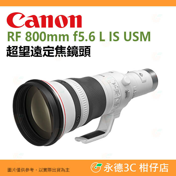 Canon RF 800mm f5.6 L IS USM 超望遠定焦鏡頭 大砲 臺灣佳能公司貨