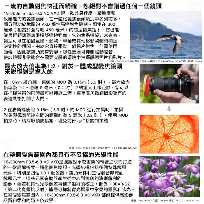 TAMRON B061 18-300mm F3.5-6.3 Di III AVC 公司貨 SONY 富士用 18-300