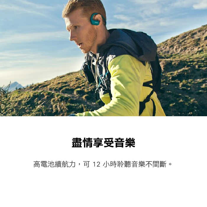 索尼 Sony NW-WS413 4GB 防水數位隨身聽 台灣索尼公司貨保固18個月 運動 慢跑 游泳 無藍牙功能