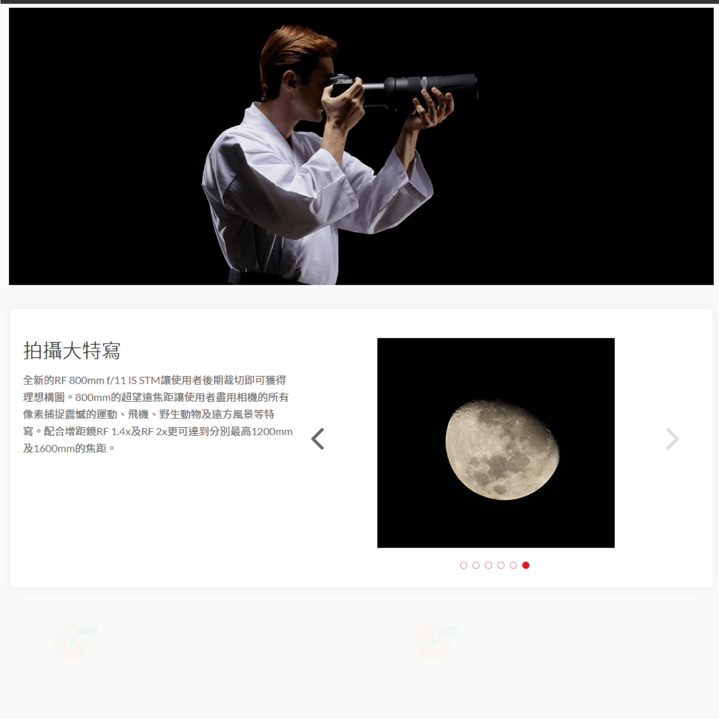 Canon RF 800mm f11 IS STM 超望遠定焦鏡頭 輕巧 台灣佳能公司貨