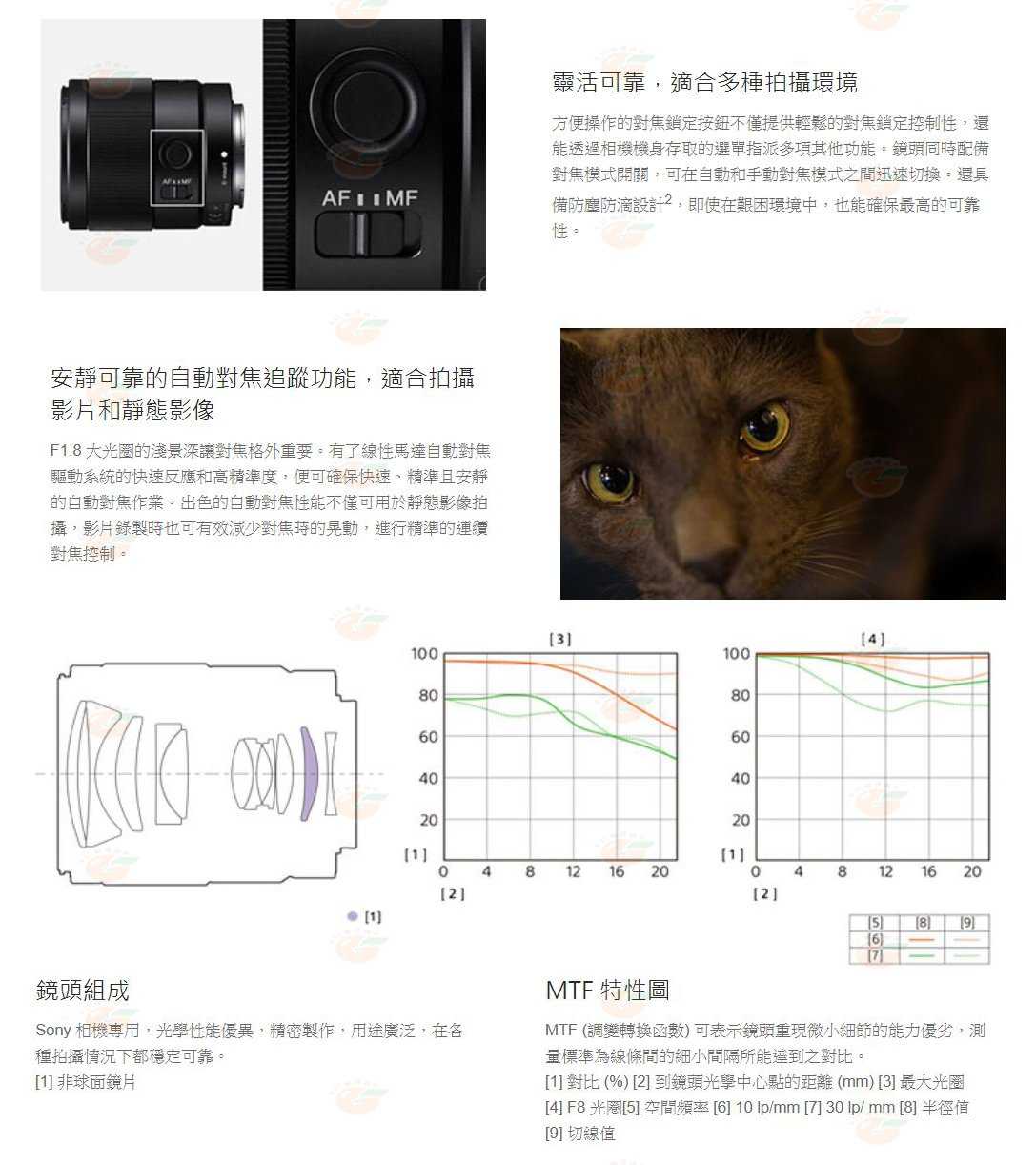 SONY SEL35F18F FE 35mm F1.8 全片幅 E 焦大光圈鏡頭 台灣索尼公司貨