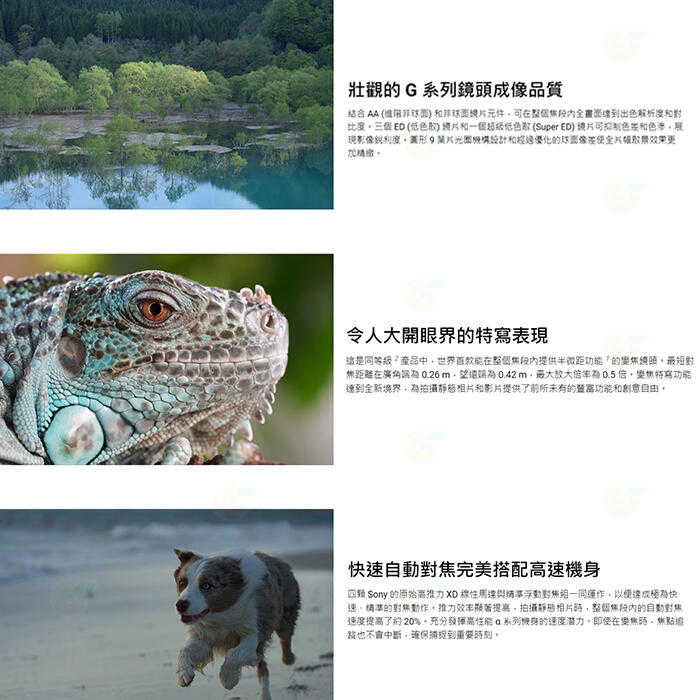 送註冊禮 SONY SEL70200G2 FE 70-200mm F4 Macro G OSS II 二代鏡頭公司貨