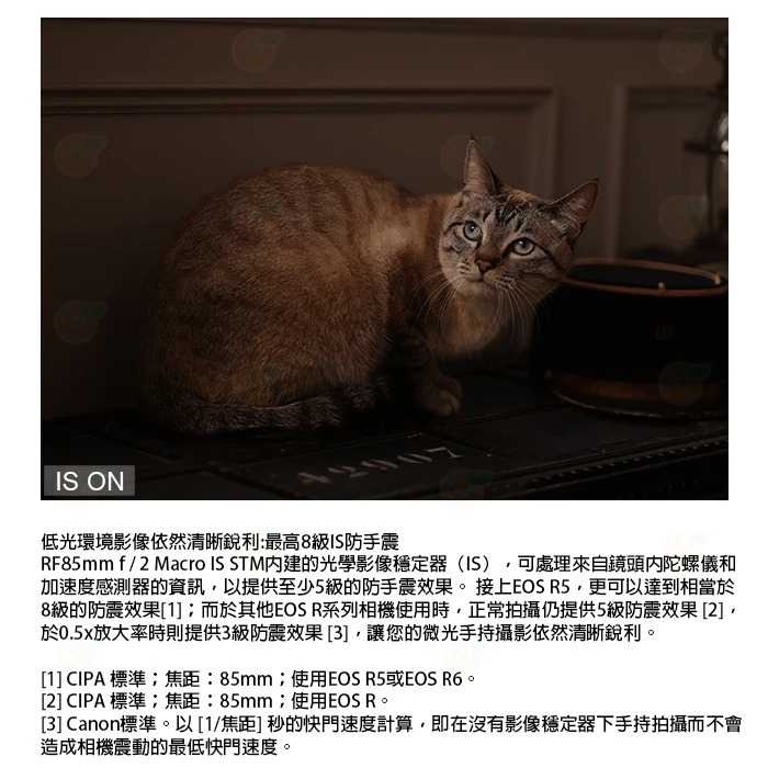 Canon RF 85mm F2 Macro IS STM 微距 人像鏡頭 台灣佳能公司貨