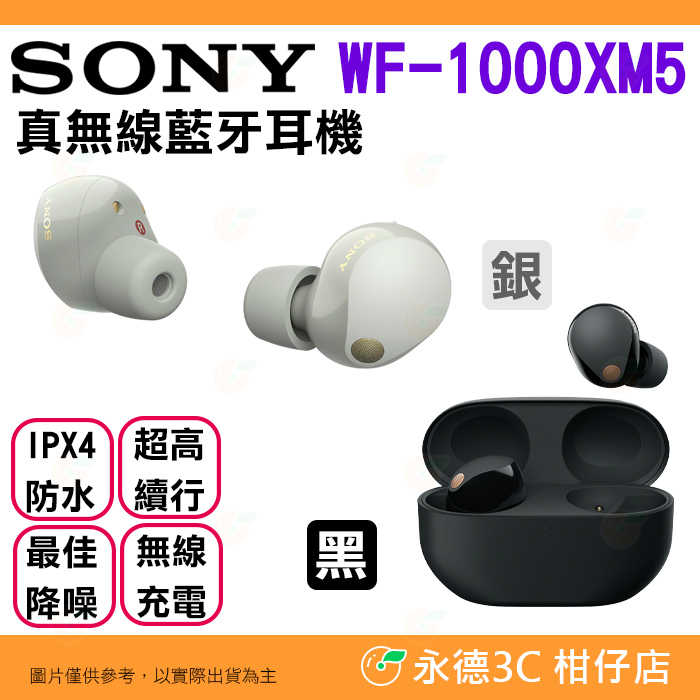 送卡通收納袋 SONY WF-1000XM5 AI降噪 真無線藍牙耳機 台灣索尼公司貨12+6個月保固 IPX4防水
