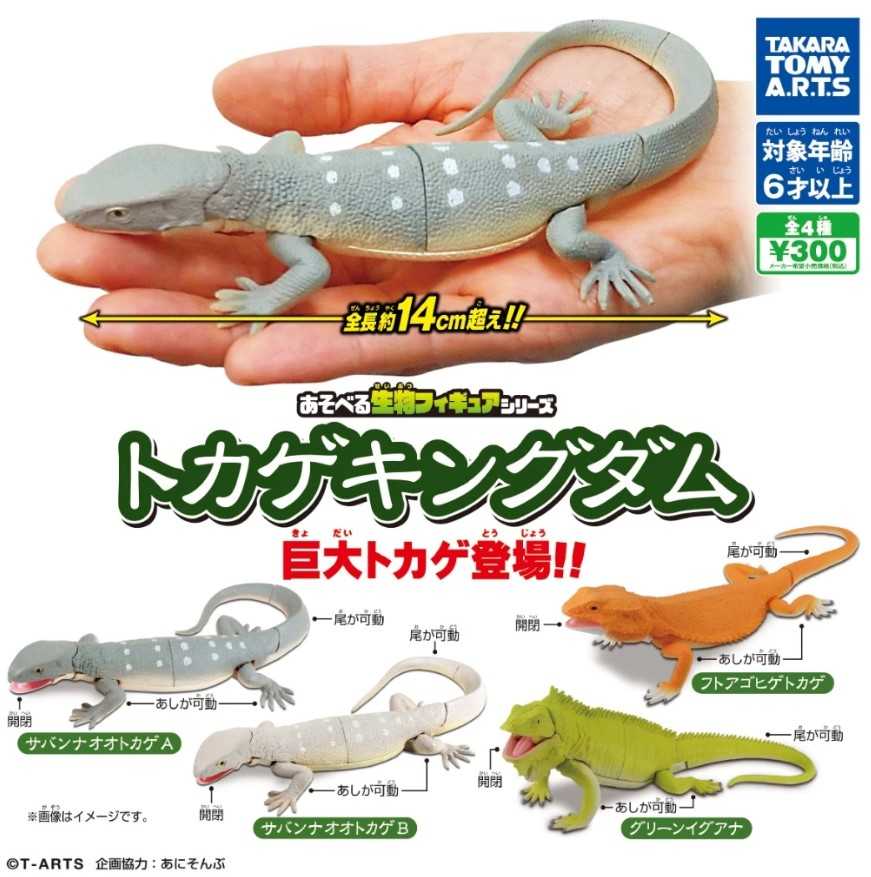 【小紅茶玩具屋】TAKARA TOMY 可動生物模型-巨大蜥蜴篇 扭蛋 整套四款