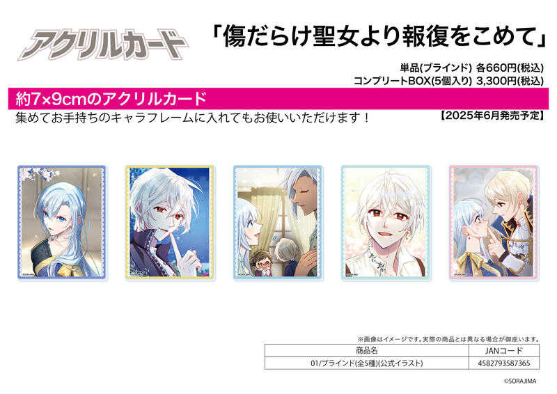 ☆卡卡夫☆25年6月預購(取付免訂金) A3 獻上聖女最誠摯的復仇 壓克力卡片收藏集 01 中盒 0401