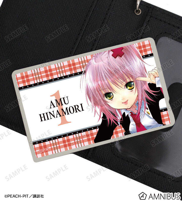 ☆卡卡夫☆25年9月預購(取付免訂金) amnibus 守護甜心! 漫畫封面 卡片貼紙收藏集 卡貼 中盒 0513