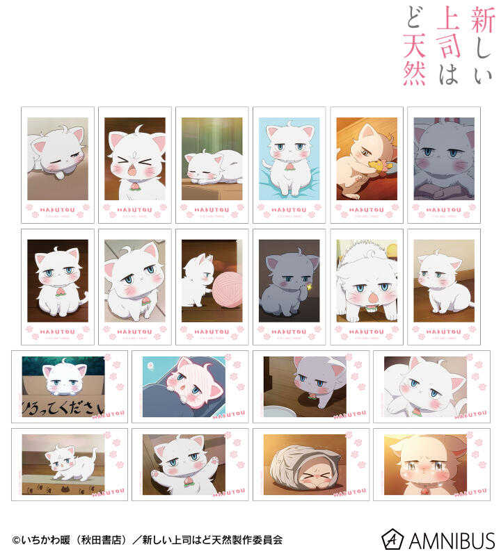 ☆卡卡夫☆8月預購(取付免訂金) amnibus 我的新上司是天然呆 白桃 場面寫真 拍立得寫真卡收藏集 中盒 0513