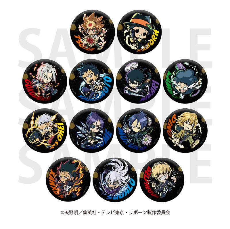 ☆卡卡夫☆25年8月預購(取付免訂金) EDITH 家庭教師 REBORN! E-TOON 閃亮徽章集 中盒 0616