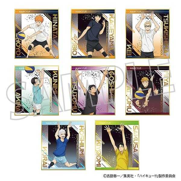 ☆卡卡夫☆25年7月預購(取付免訂金) Movic 排球少年!! 青年合宿 迷你色紙收藏集 中盒 0611