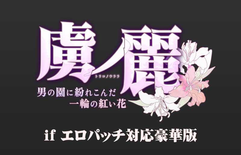 （四葉亭）預約6月 PC 虜ノ麗 ～男の園に紛れこんだ一輪の紅い花～ if エロパッチ対応豪華版
