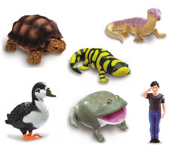 【cookie賊賊玩具】YELL Channel Wani與爬蟲生物模型 蘇卡達象龜 珍珠蛙 扭蛋 轉蛋 整套6款