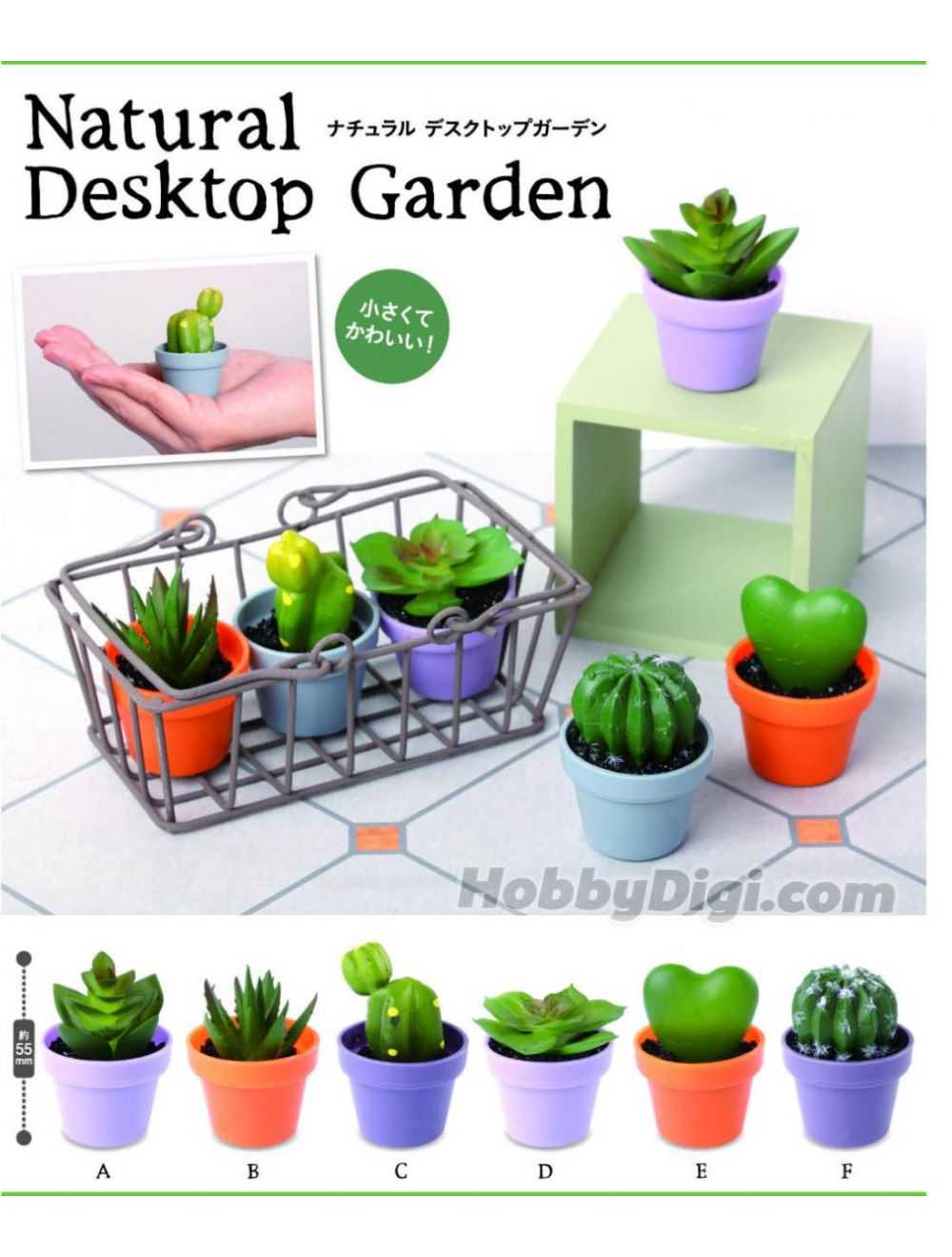 【cookie賊賊玩具】KOROKORO 迷你桌上植物模型 扭蛋 轉蛋 整套6款