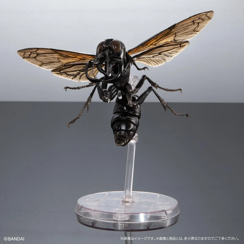 【高雄冠軍】24年6月預購 生物大圖鑑 胡蜂亞科02 加魯達土蜂 大虎頭蜂 黃色胡蜂 展示套組 免訂金