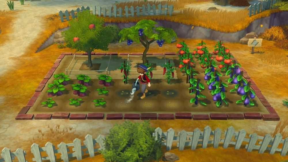 預購2025/08/28 - NS 牧場物語 來吧！風之繁華市集《中文版》