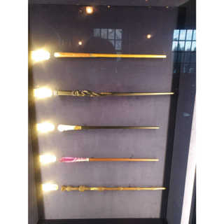 ＜現貨+預購＞(04/18出貨) 日本正版 環球影城 哈利波特 \u0026 怪獸與他們的產地 限定商品 全角色魔杖