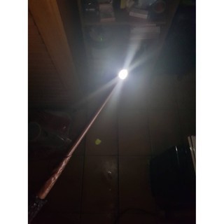 ＜現貨+預購＞(04/18出貨) 日本正版 環球影城 哈利波特 \u0026 怪獸與他們的產地 限定商品 全角色魔杖