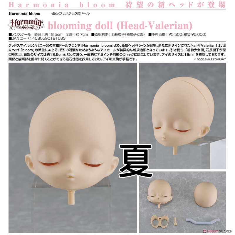 《夏本舖》日版 GSC Harmonia bloom blooming doll root 頭Head-Valerian