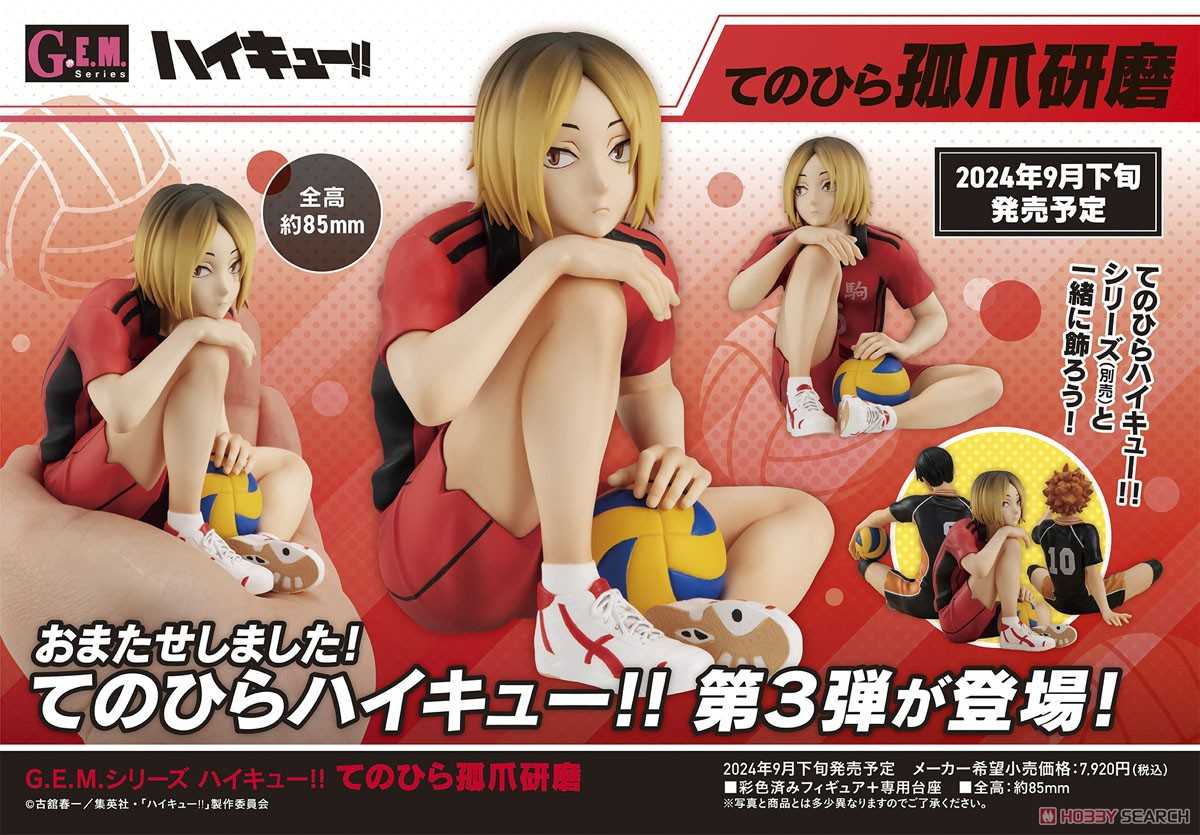 《夏本舖》代理 MegaHouse GEM 排球少年 孤爪研磨 掌中 音駒 二傳手 高中生 球衣 球員 運動員 排球