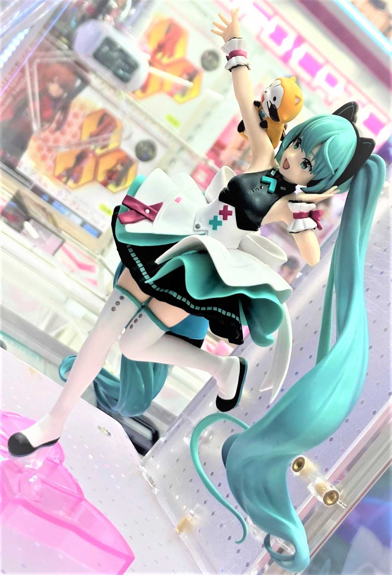 《夏本舖》日版 FuRyu Exceed 初音未來 小浣熊 方塊 聯名 網路新紀元 虛擬 偶像 Creative 景品