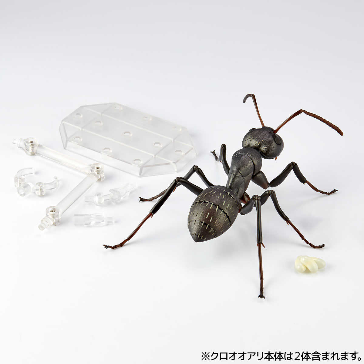 《夏本舖》日版 海洋堂 REVO GEO 日本弓背蟻 昆蟲 螞蟻 節肢動物 蟻科 山口式 輪轉 生物 擬真 模型 可動