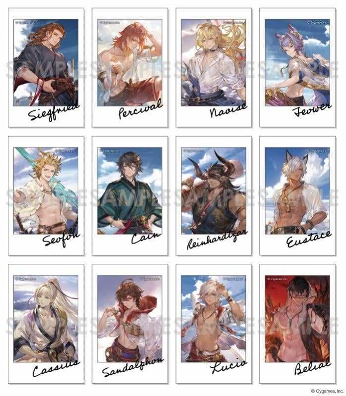 ■預購■『Animate』通販｜GBF『碧藍幻想』寫真卡組～Summer Memories～（全12種）。