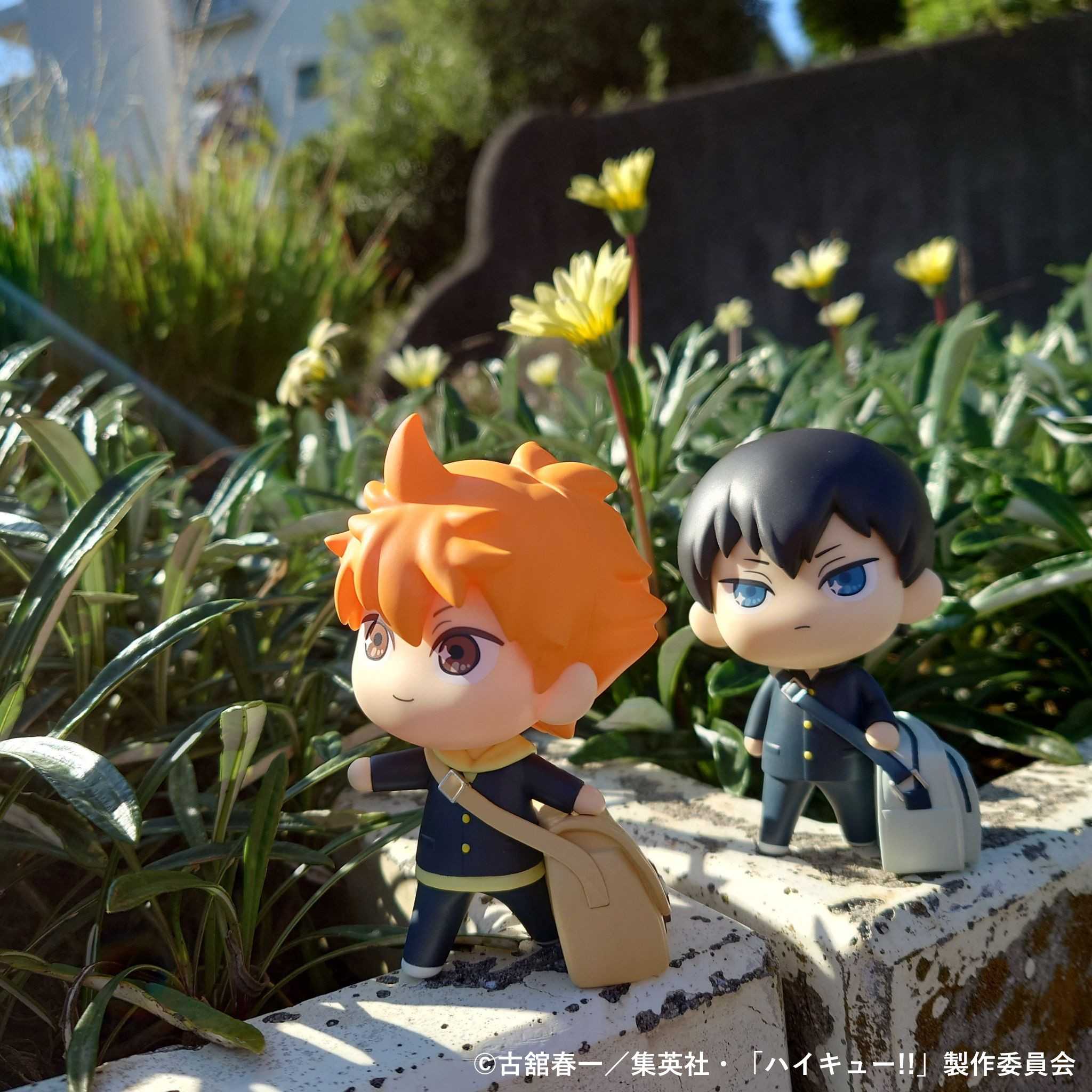 [那模好玩] 現貨 代理版 萬代 tekupiku 排球少年 日向翔陽 影山飛雄 公仔 Q版 拍照