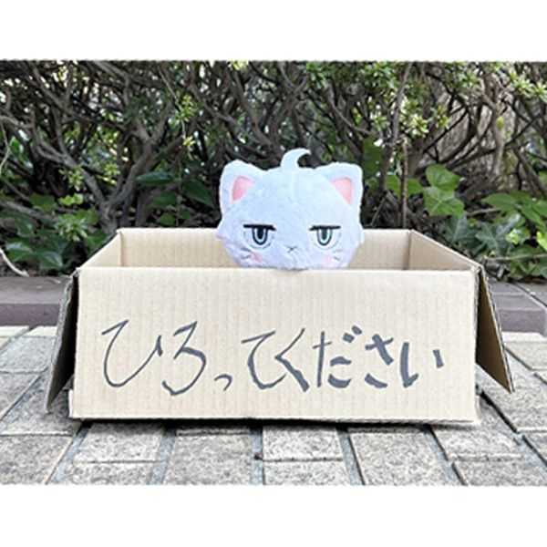 【怨念事務所】預約商品 3月(免訂金) Aniplex 我的新上司是天然呆 小貓咪 白桃 布偶 娃娃 1105