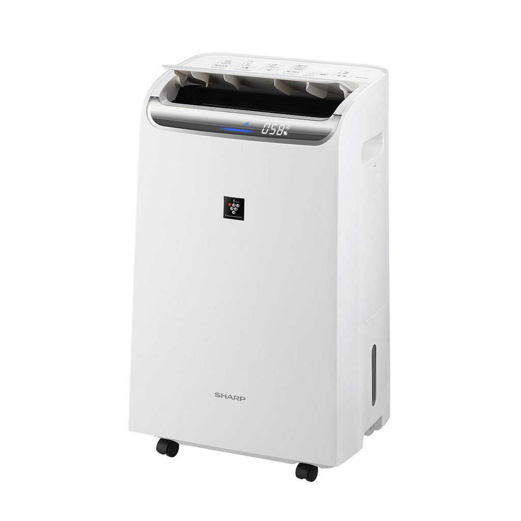 【夏普】12L AIoT智慧除菌離子空氣清淨除濕機 DW-WA12FT-S(無安裝)