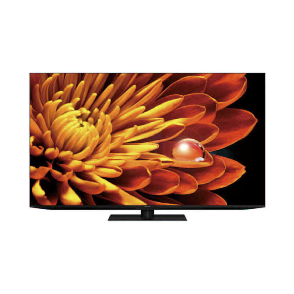 【夏普】65型 4K聯網顯示器 4T-C65FV1X(含基本安裝)