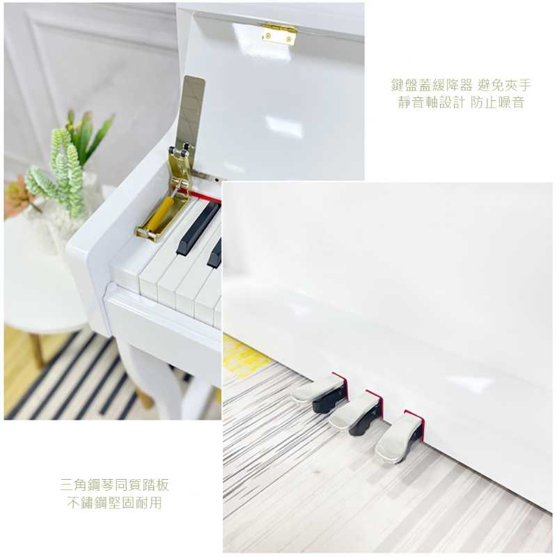 HANLIN-P880 高階立式數位電鋼琴 直立款 88鍵 256複音 數位鋼琴 外槌漸進式配重