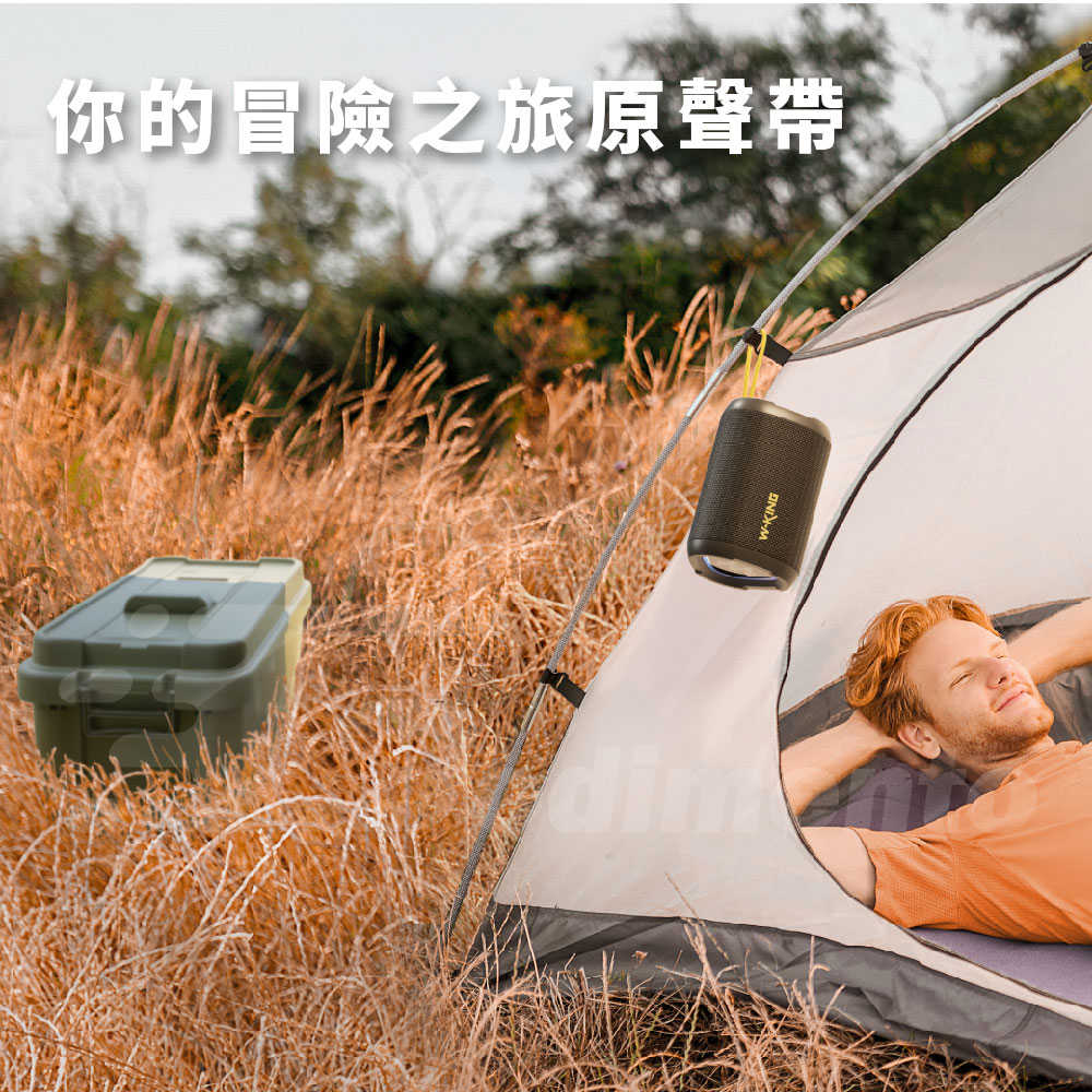 W-KING D110 15W 支援TWS串聯+免持通話 藍牙喇叭 重低音立體聲 RGB燈光秀戶外音響