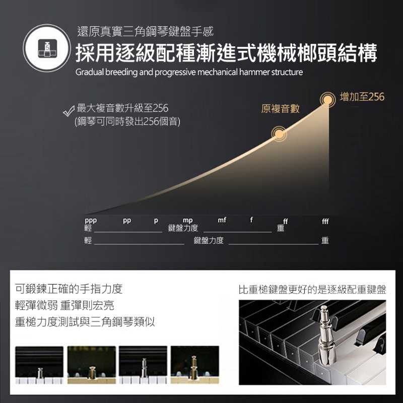 HANLIN-P880 高階立式數位電鋼琴 直立款 88鍵 256複音 數位鋼琴 外槌漸進式配重