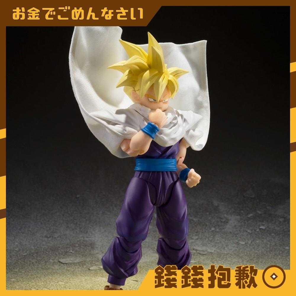 【錢錢抱歉】現貨 SHF 七龍珠Z 超級賽亞人 超越悟空的戰士 孫悟飯 悟飯