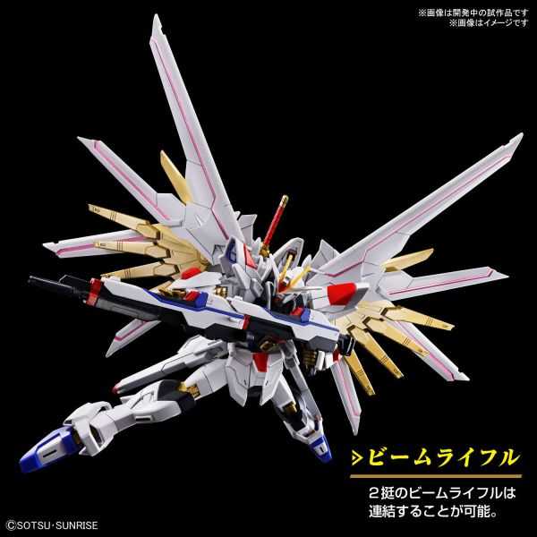 【自由模型】全新現貨 BANDAI 組裝模型 鋼彈SEED HG 1/144 #250 全能攻擊自由鋼彈