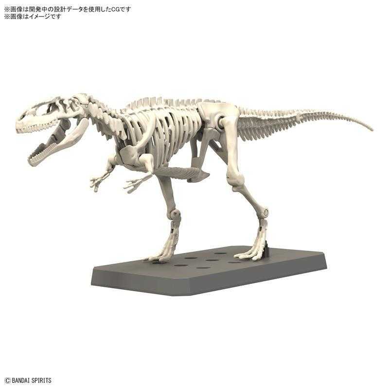 【自由模型】全新現貨 BANDAI #08 恐龍組裝模型 南方巨獸龍