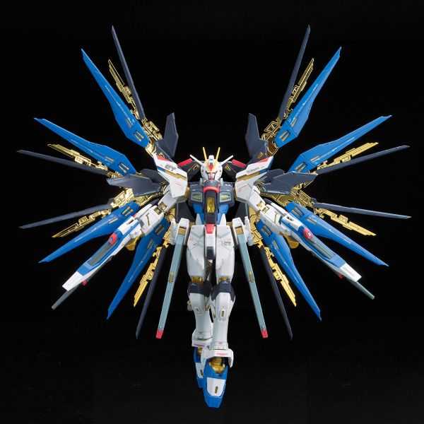 【自由模型】全新現貨 BANDAI ZGMF-X20A RG 1/144 #14 攻擊自由鋼彈