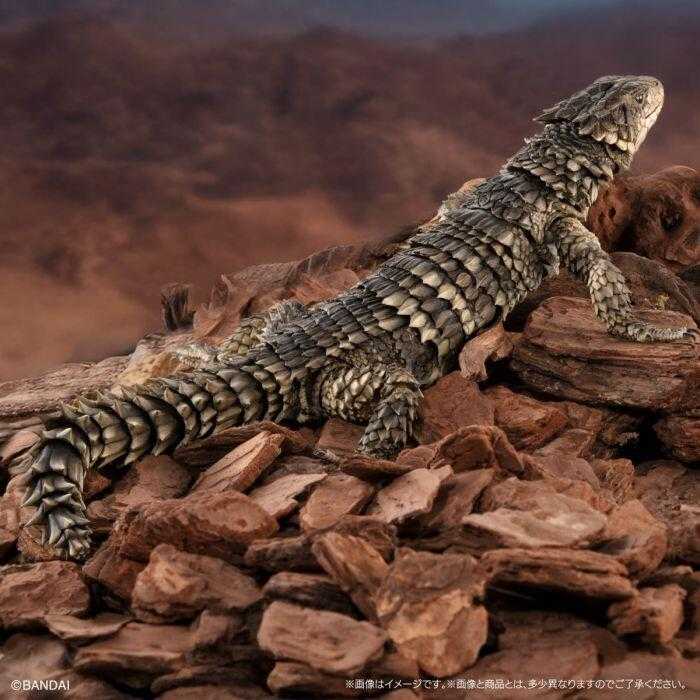 【上士】預購11月免訂金 代理版 扭蛋袋裝 生物大圖鑑 巨型環尾蜥 0820