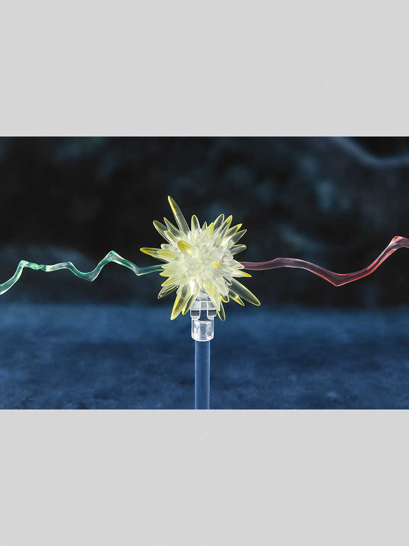 【上士】預購12月免訂金 代理版 S.H.Figuarts SHF 哈利波特：火盃的考驗 哈利波特