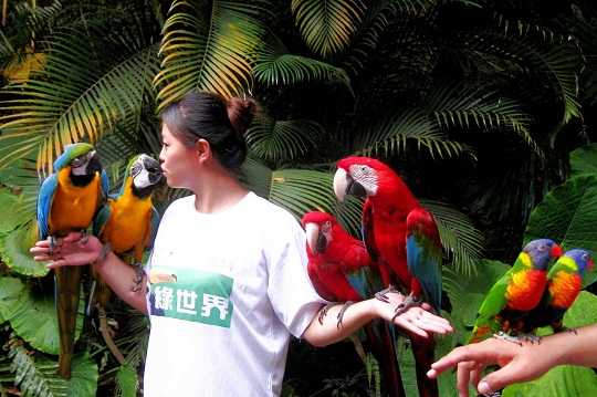 綠世界動物劇場-2