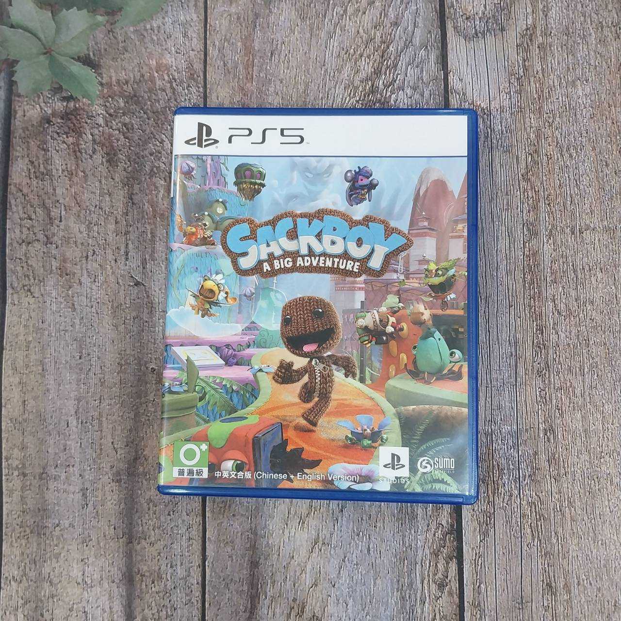 ★萊盛小拳王★ 二手 PS5 小小大冒險 中文版 中古片