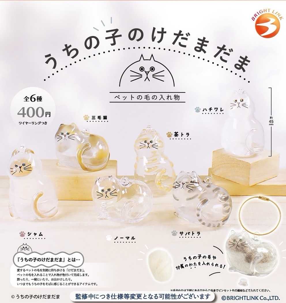 ★萊盛小拳王★BRIGHT LINK 代理版 扭蛋 我家毛孩透明吊飾 全6種 隨機出貨