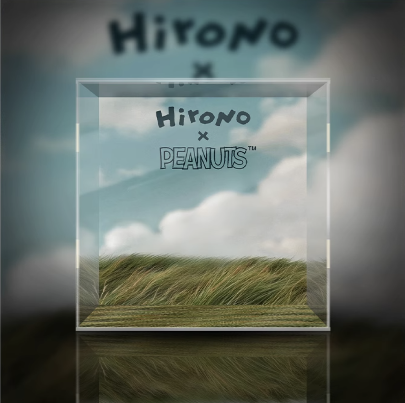 [AOWOBOX] Pop Mart 泡泡瑪特 Hirono × Snoopy Peanuts 小野 史努比 專用主題展示盒